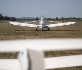 LUKA HOJNIK